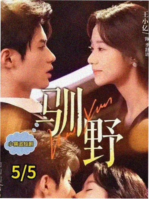雾港谜案 剧集封面